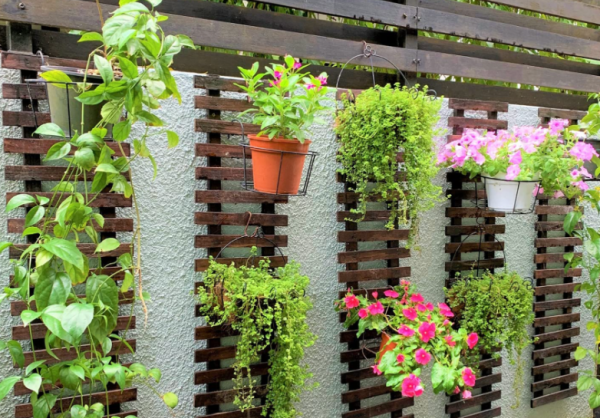 Taman vertikal dengan dinding tanaman gantung